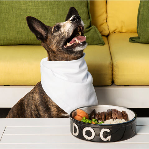 Pooch Menus