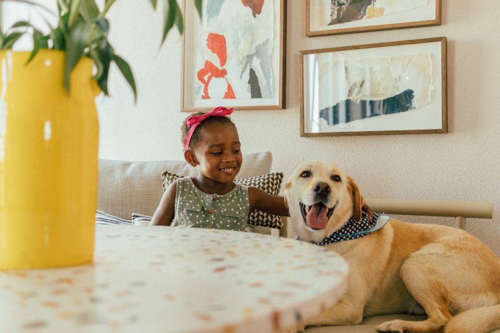 Pet friendly hotel in cape town